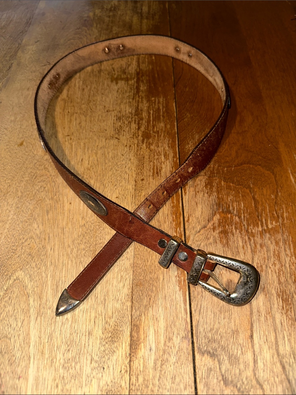 Brighton Brown Leather Belt with Decorative Silver Buckle